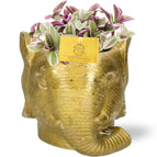 In gouden olifanten pot