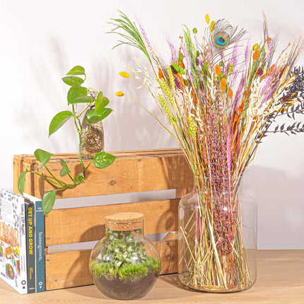 Droogbloemen boeket 'Asciutto' Rainbow Feel ↑70cm